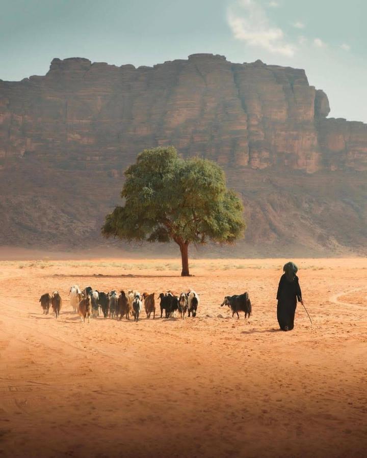 Hotel Magic Milky Way Camp Wadi Rum Exterior foto